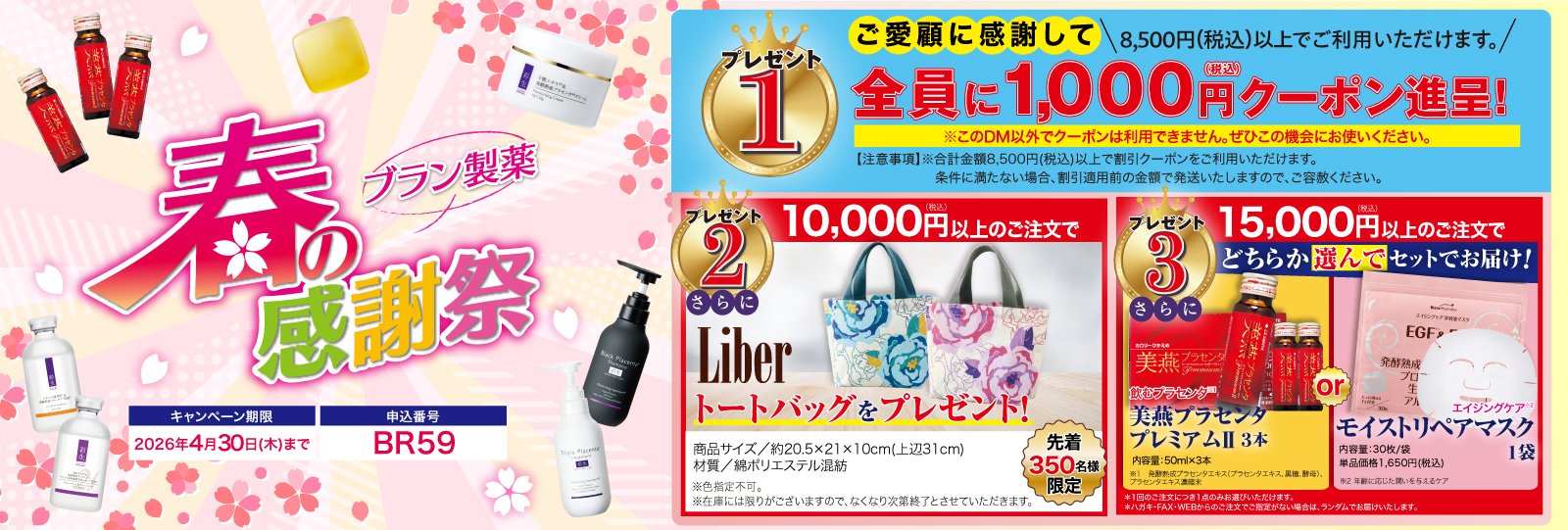 3月DM(ブランドサイト)