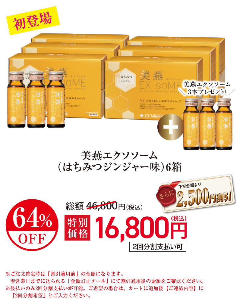 美燕エクソソーム(はちみつジンジャー味)6箱